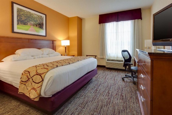 DRURY INN & SUITES BATON ROUGE image 15
